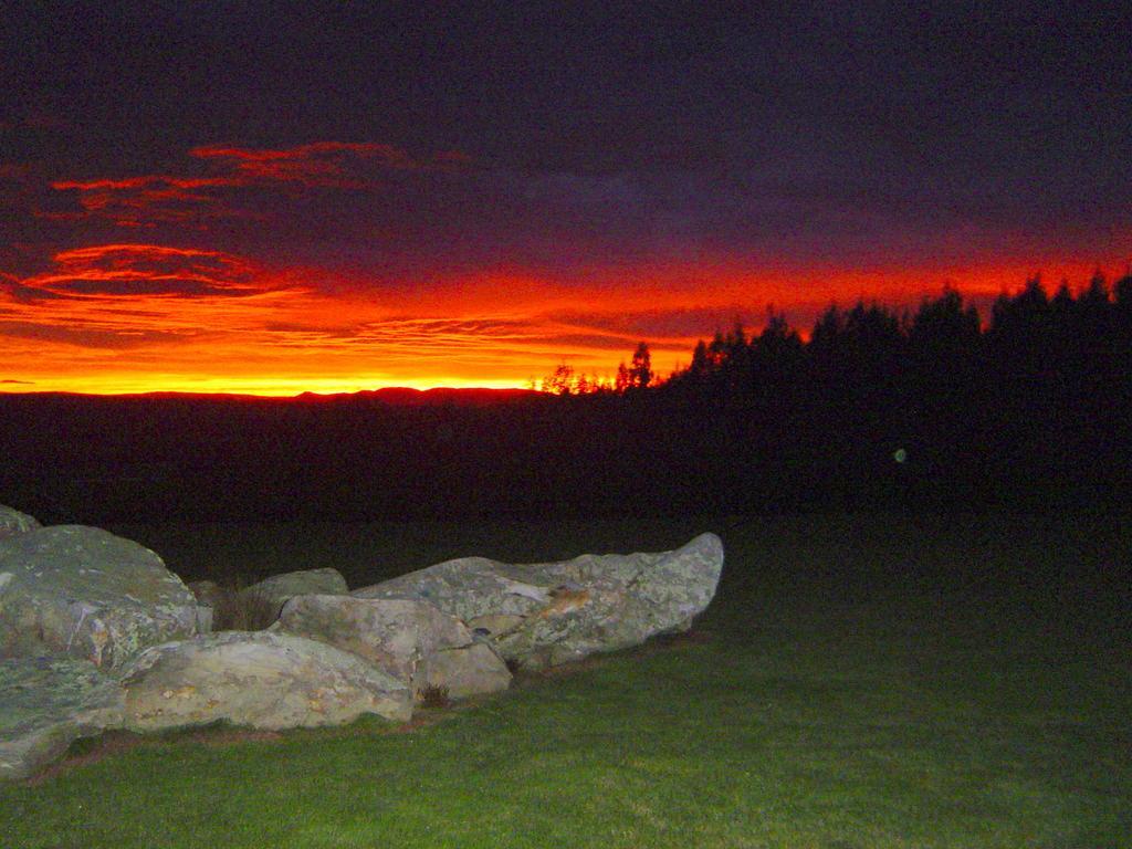 Hokonui Bed & Breakfast Gore Room photo